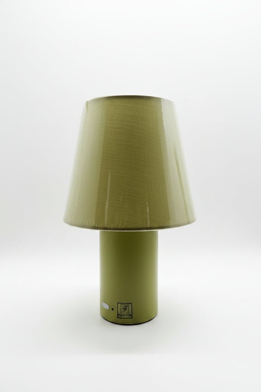 Fantin Argenti lampada led in metallo luce variabile (verde)