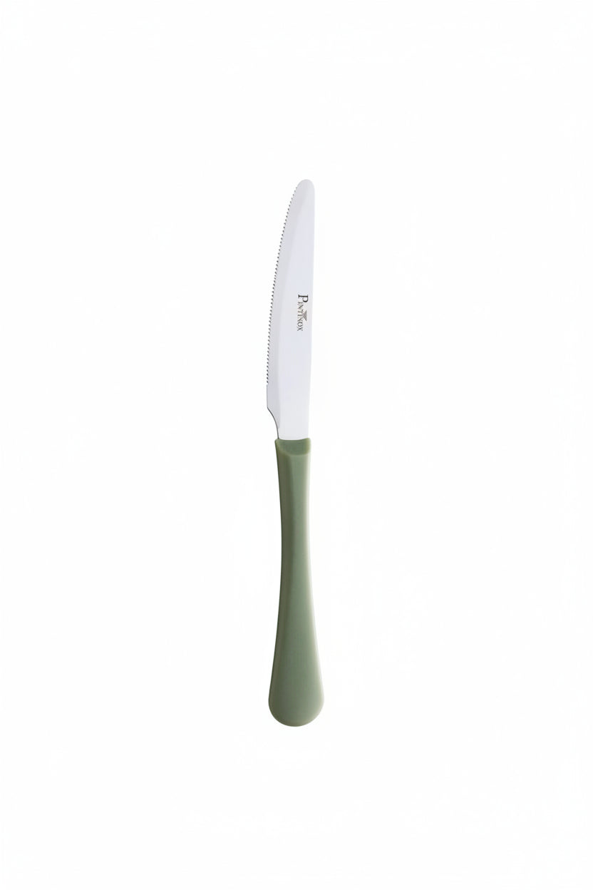Pintinox Coltelli quotidiani 6 pz