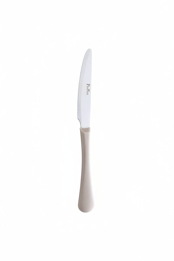 Pintinox Coltelli quotidiani 6 pz