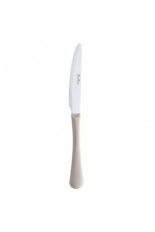 Pintinox Coltelli quotidiani 6 pz