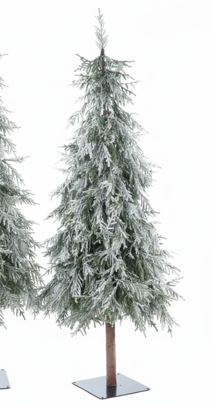 Bruco Albero con Neve