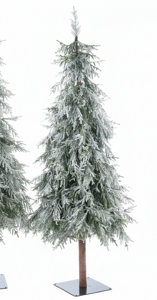 Bruco Albero con Neve