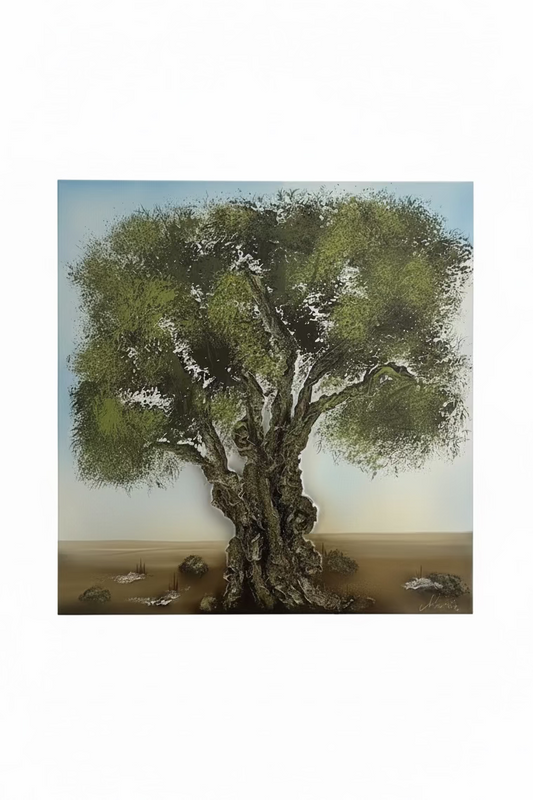 Art Maiora “Terra Mia”