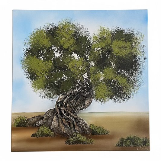 Art Maiora “Scorcio di Puglia”
