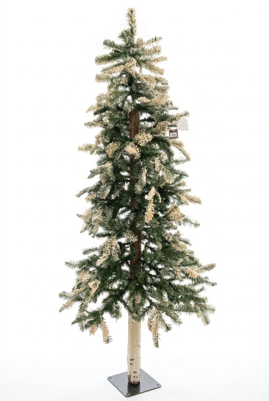 Bruco Albero con Neve