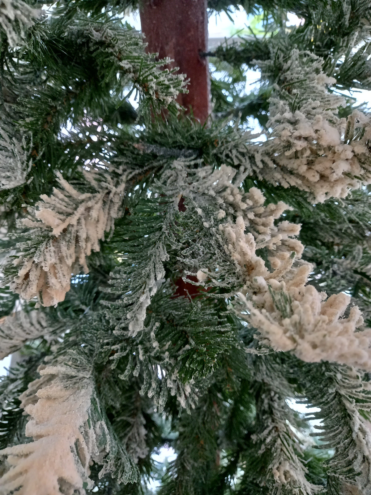 Bruco Albero con Neve